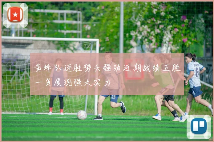 黄蜂队连胜势头强劲近期战绩五胜一负展现强大实力