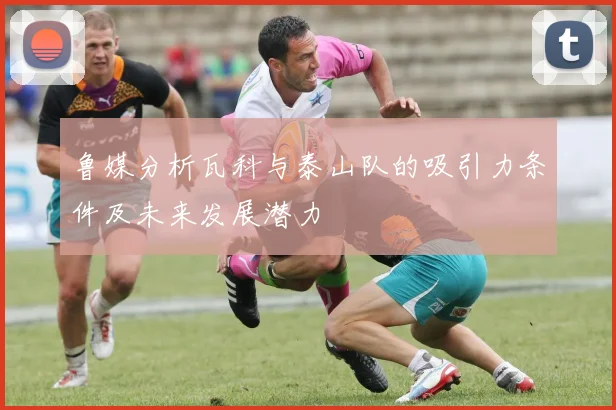 鲁媒分析瓦科与泰山队的吸引力条件及未来发展潜力