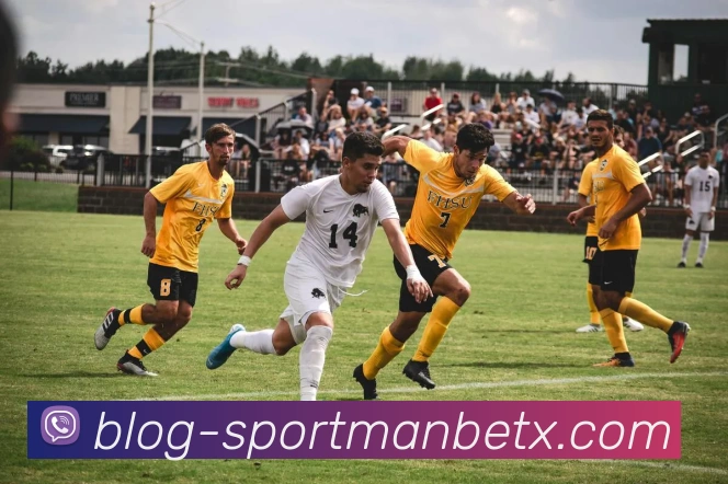 App Interface Preview